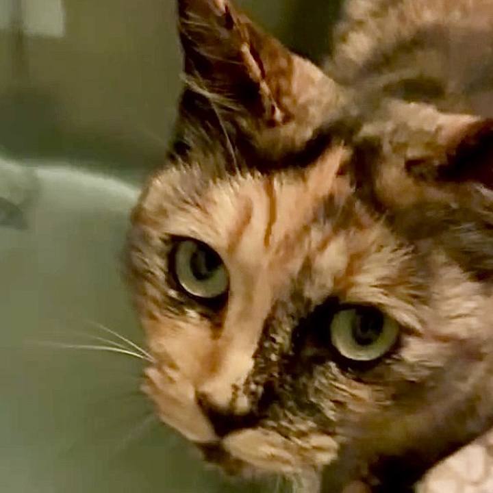 2d2b1dfd 0c60 4000 829e f84445ef9ee8 1750630475972