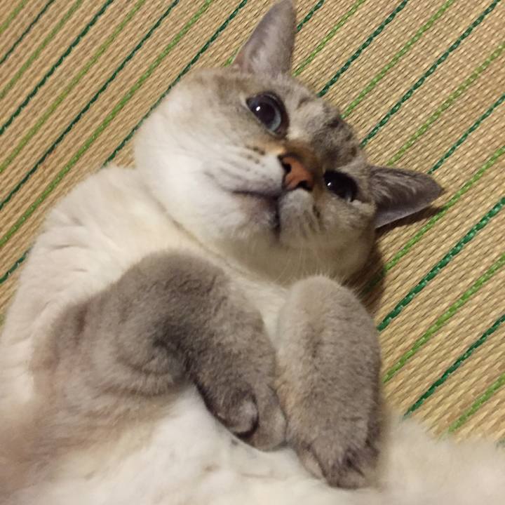 2d2b251c 4ced 406c b273 ce2b46f448c6 1539170182719