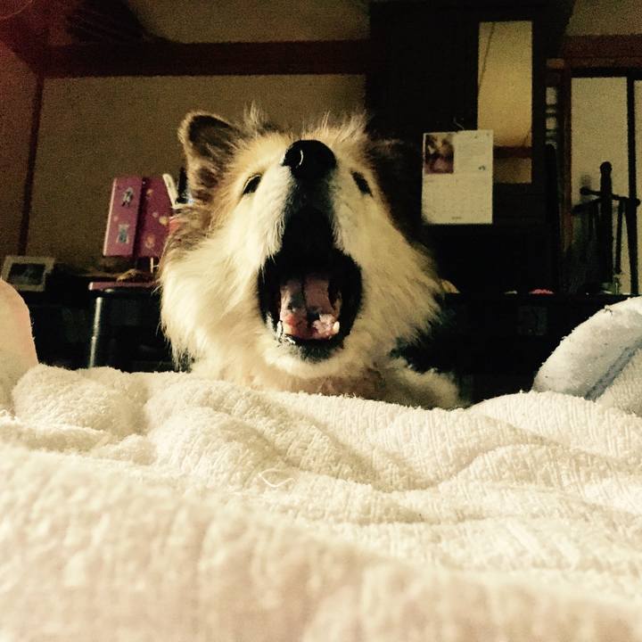 2d2b3909 f984 426d b854 5790ccbf021e 1549949215928