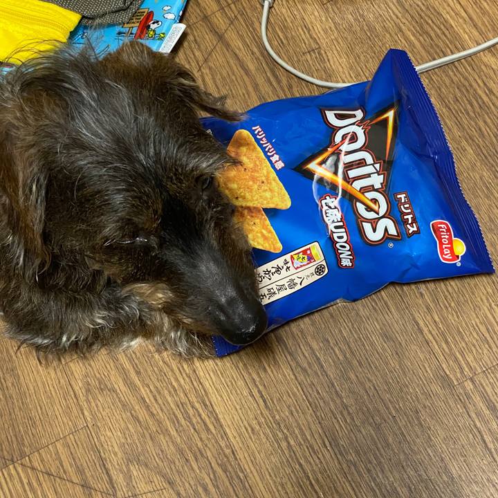 2d2b3976 f695 4780 aac4 92d311851e0d 1586780499805