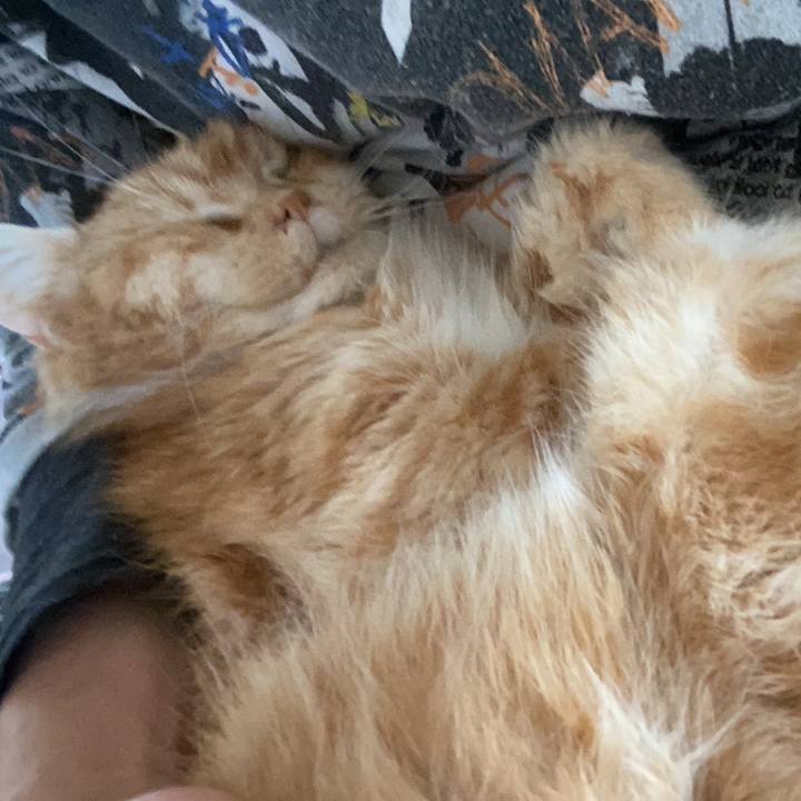 2d2b84a1 b799 41bb 980c e196734ebfff 1681952937463