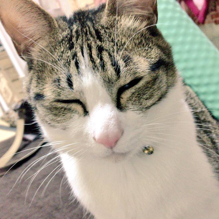 2d2be9ed ce76 4018 8095 25844273bf8f 1515934127631