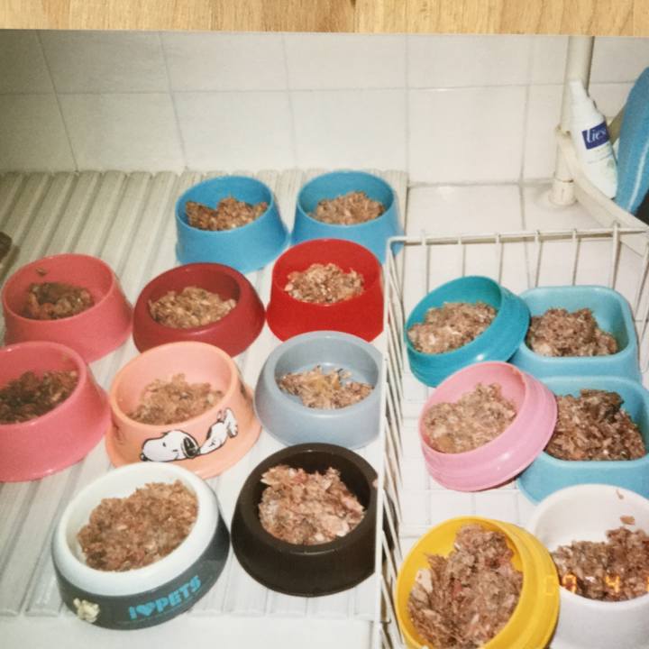 2d2bf721 9c0a 4b50 81b8 40c05796c2b6 1515317762616