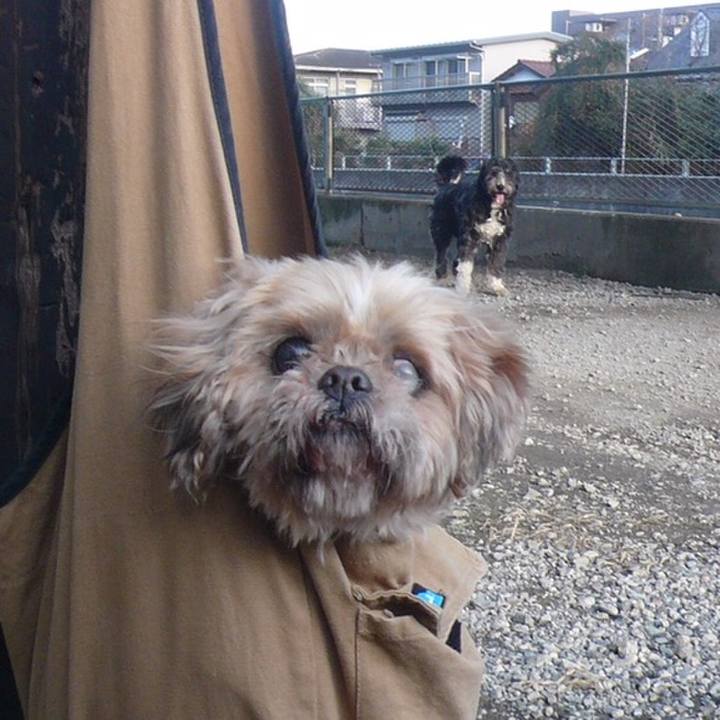 2d2bfa55 3d7c 48ef a829 b925861b5e6e 1558658282510