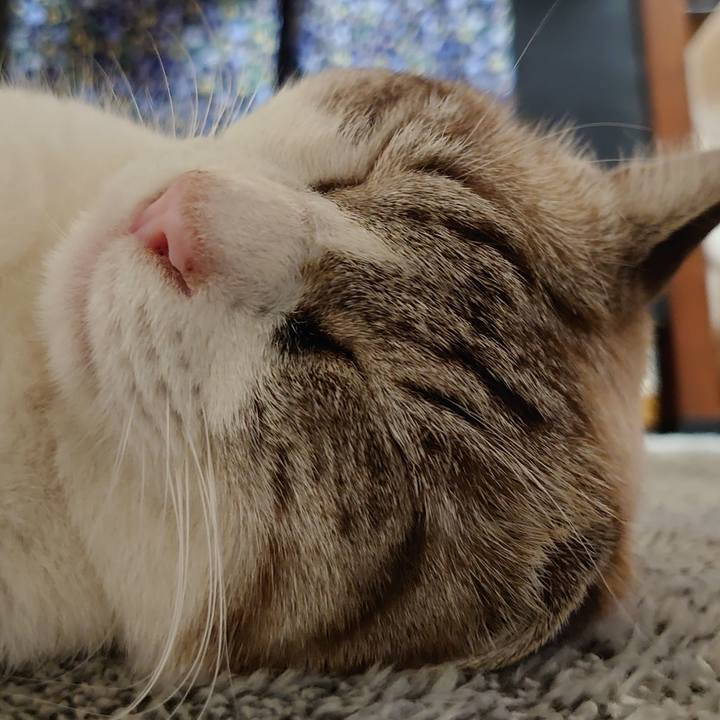 2d2bfb91 3d32 4cf5 aa8e 2ef7a0e208cc 1631360813498