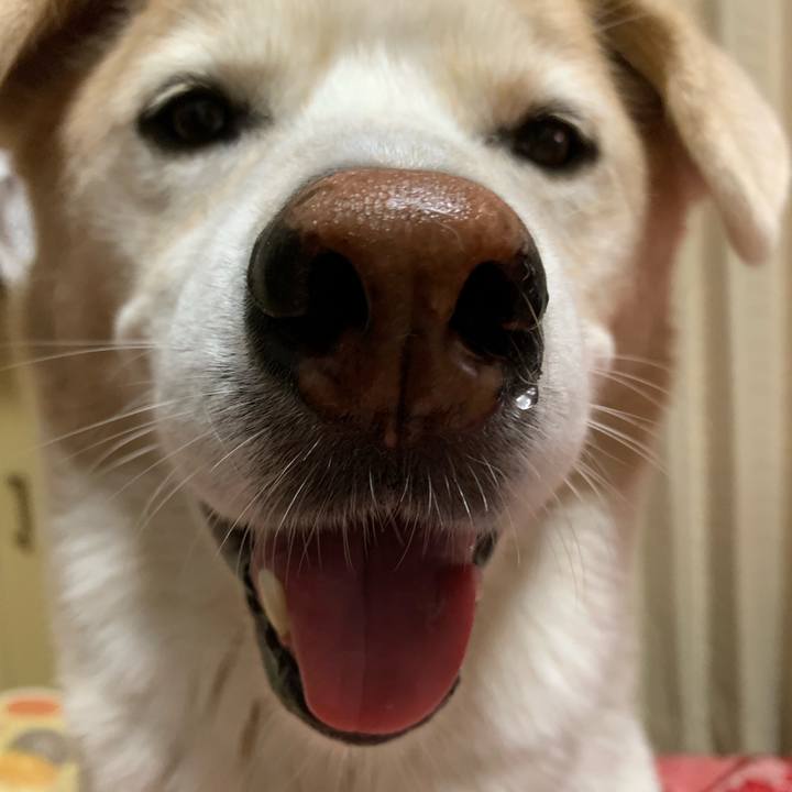 2d2c02ab 23dc 4e0f abde fb0e570afd91 1663417169532