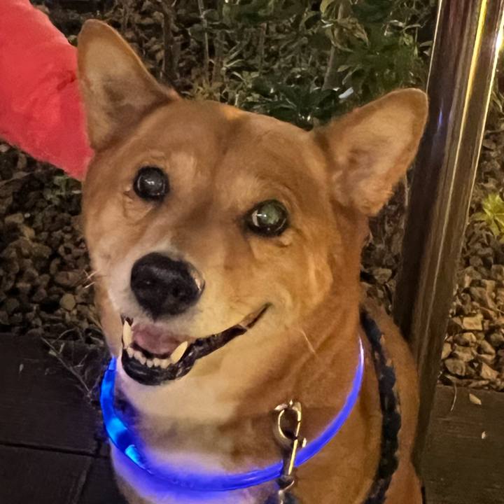 2d2c1711 e3df 4b9a bcfe bf2e491e2bea 1699788295070