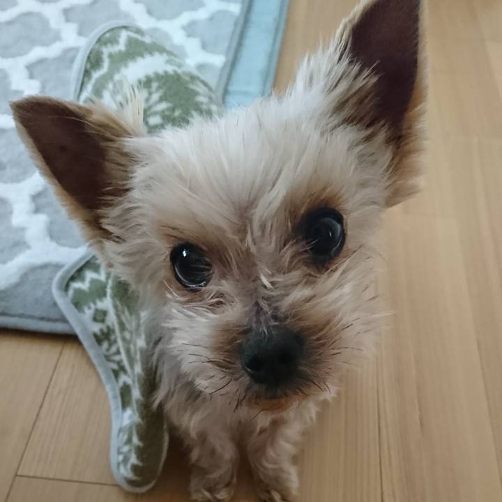 2d2c3ee3 2876 456c b2f0 dd50b1f610fd 1549775036150