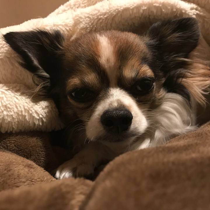 2d2c8181 7f33 46f1 a55b 7b50dfb9855e 1514649196327