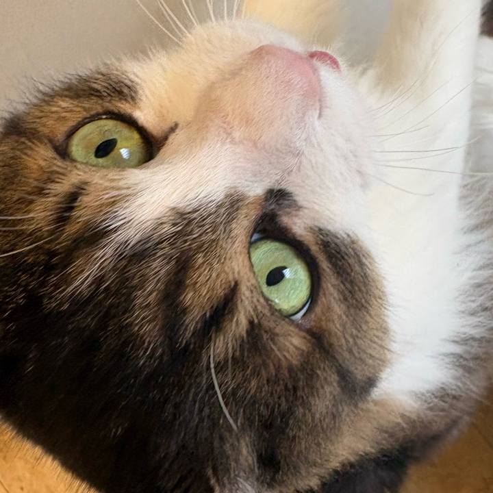 2d2c8812 ec27 4e45 8c81 9701d259afec 1775007562224