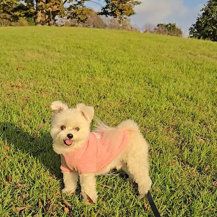 2d2c9fcf a133 404c a39f 1a2c4f0c888e 1760413755262