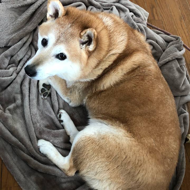 2d2cb39e 679e 4872 ab72 660be70003ad 1551356028477