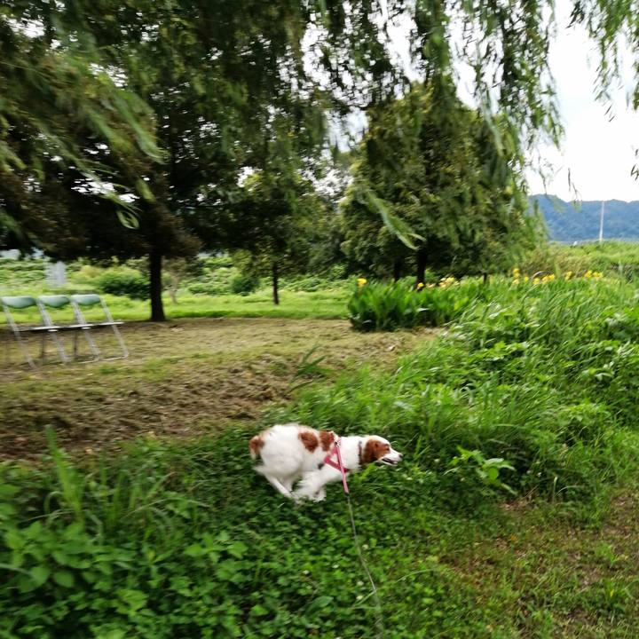 2d2cccc5 6079 4b13 a049 83ba997070cd 1595374862247