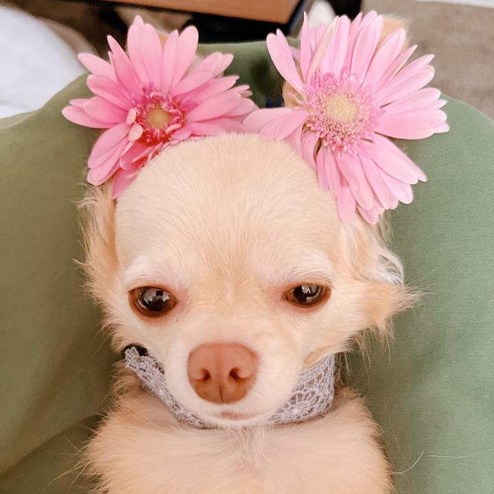 2d2cd836 84c5 421b a863 8d26a6015d07 1657628385337