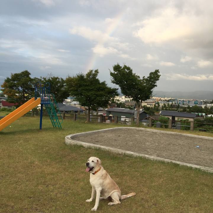 2d2d0042 42d8 4d28 8670 c24d8e44c9db 1566717309644