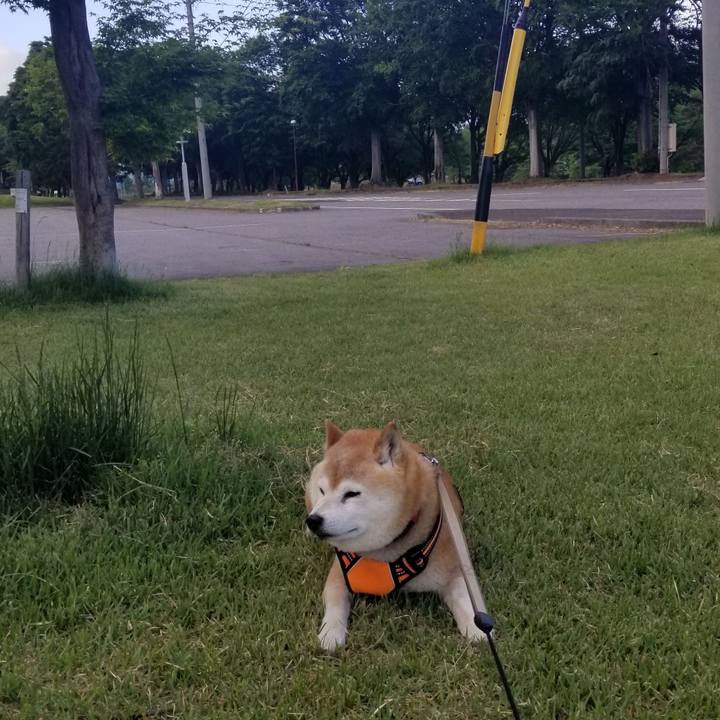 2d2d02f6 0e34 48c7 971e b88ac91150c2 1716277276277