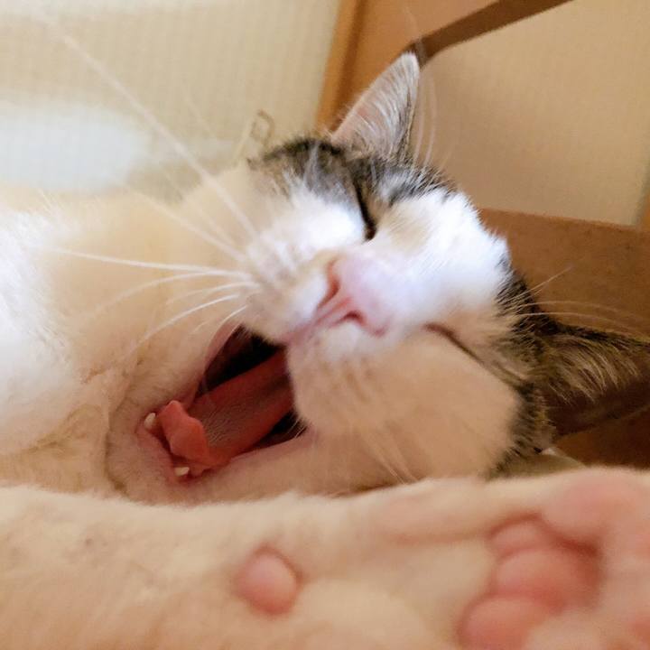 2d2d5242 637e 412a 8fa7 771f55cafffa 1594277413126