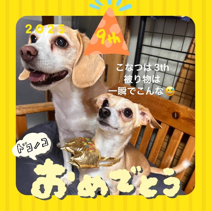 2d2da0db 800f 4dfc bfa8 05ca6aee236e 1749550659434