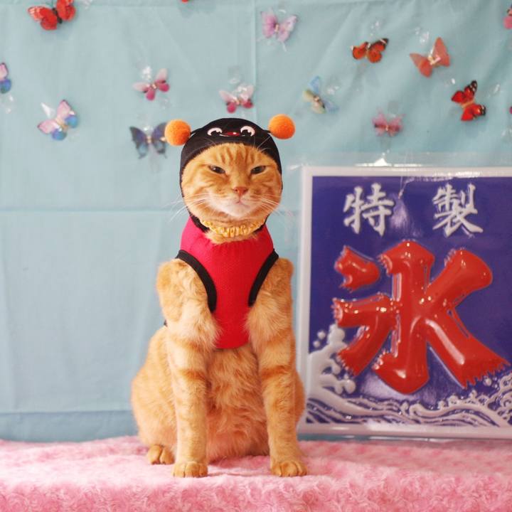 2d2dbcc0 339d 4158 9dda 0a09ff91869a 1688810087570