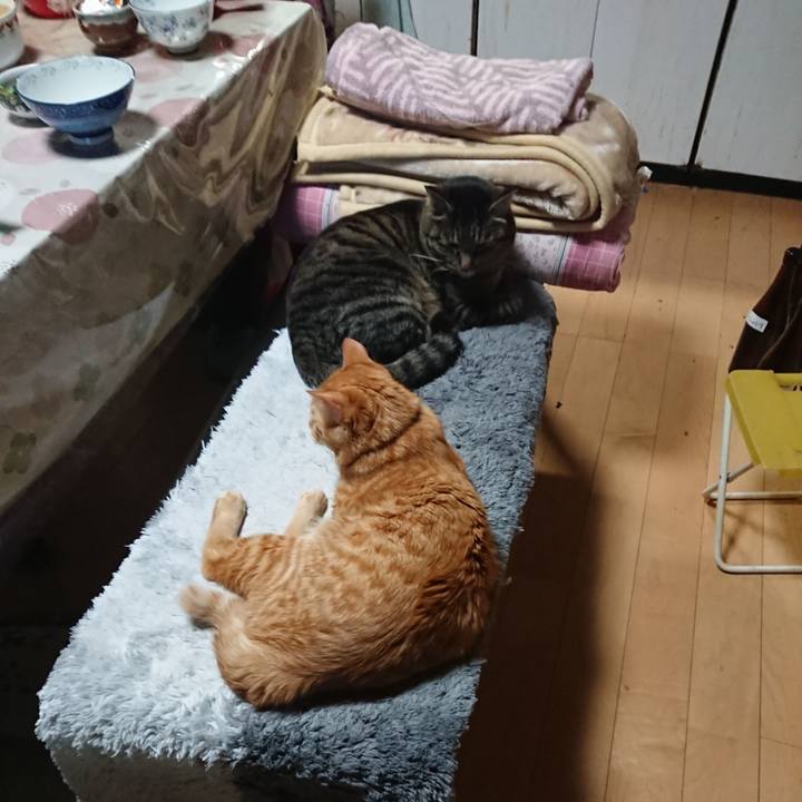 2d2debcf d393 420d a4c9 0892ef1395b5 1644146193055