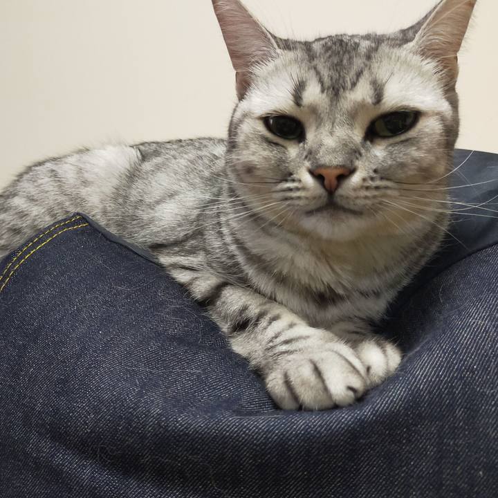 2d2e1081 048c 4cd9 90ab 4aca6c41925d 1600565612325