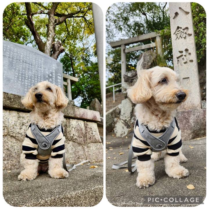 2d2ea4e2 17f3 468c 8368 75eda2d5e8ee 1762922361478