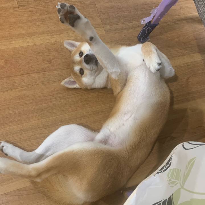 2d2ebb72 f15b 4741 8d97 60d1885504cf 1571402163049