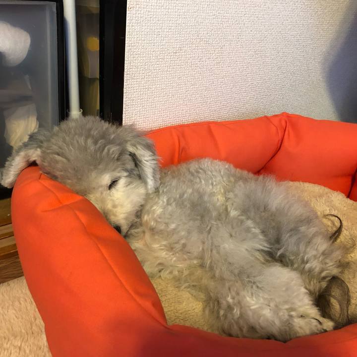 2d2ed10f bcc5 4b8e a9e7 3addff4a458e 1544442709106