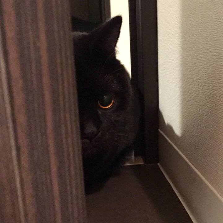 2d2f149d 84f1 4d59 88f7 9e88db766f3e 1512650988505