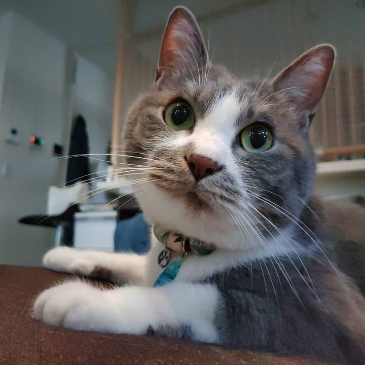 2d2f5050 c705 4789 a8ce f8e4ffacf277 1715855165863