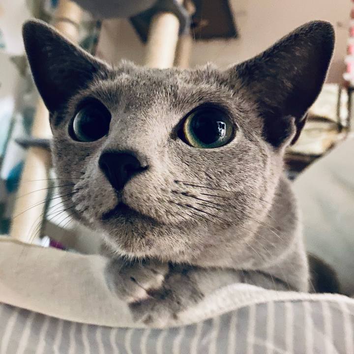 2d2f50ed 7a24 4e16 9d77 b0fc6133d433 1621338949726