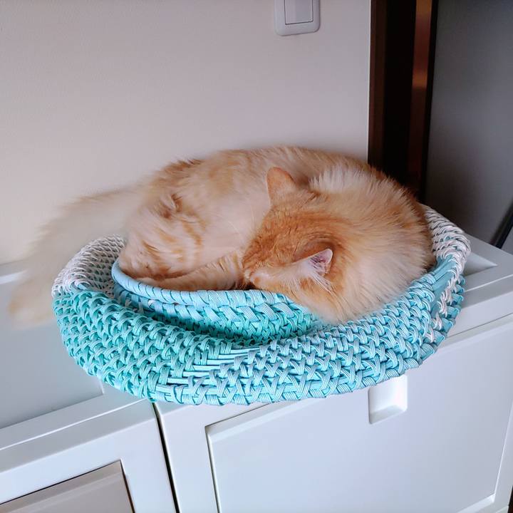 2d2f6cb4 5b83 46d0 b3ce a5befd66e74d 1653121515213