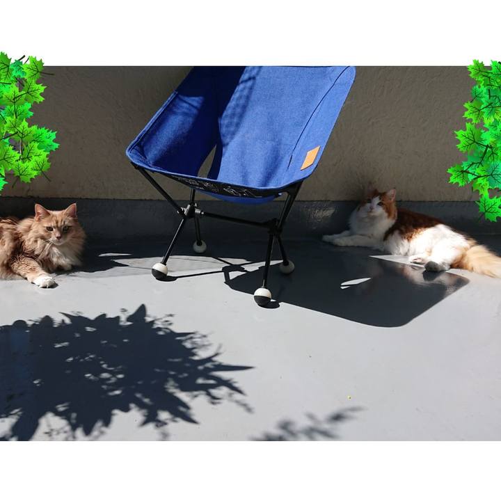 2d2f8cb5 4083 40ae 93fa 579957006753 1583899016516