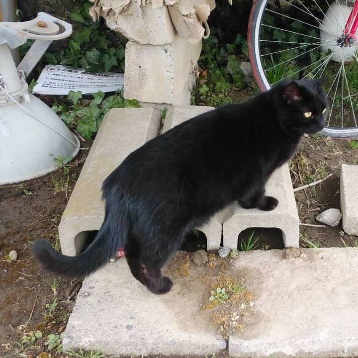 2d2f8fc0 cef5 4eea 9adb 27a4da2d007b 1614910387430