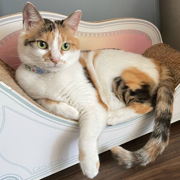 2d2f90ae 24df 409f a6d3 158806893084 1688959528016