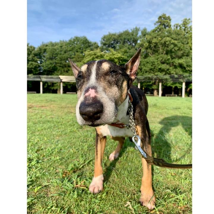 2d2fb9f7 c73d 43e6 a836 e0f24846cdc4 1631255412194