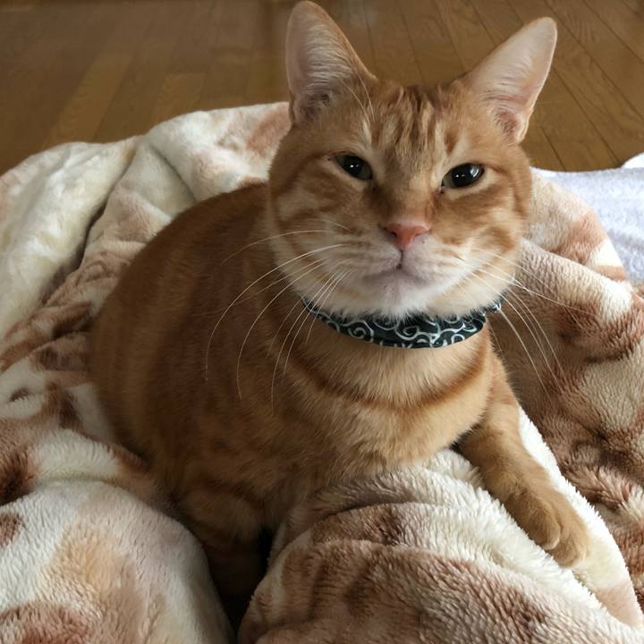 2d2fc02b 2c1d 42c8 a598 f206140671ae 1578699301336