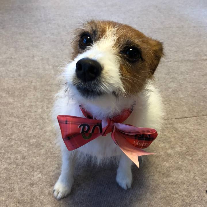 2d2fdbb9 7f7b 4d93 80c7 67e6a868efdd 1571491403312