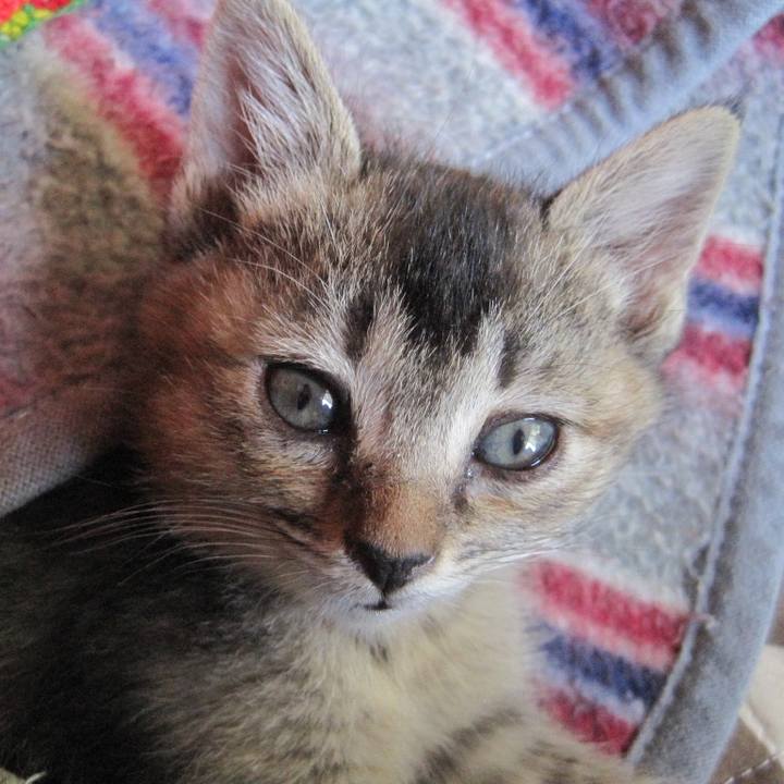 2d304286 5477 4a05 9361 477f4f60034c 1585991819187