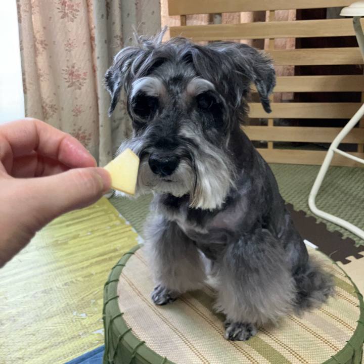 2d305341 29e4 4324 8684 cf9d6ef93bf5 1722663544907