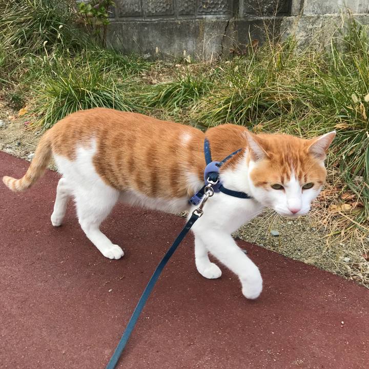 2d305a3f 0979 407e ba88 3247fa3d7bed 1511237004850