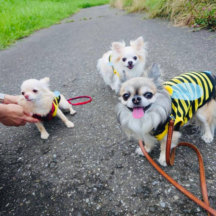 2d306171 b5f5 4fbc bd06 3f0fc445cc95 1624595943988