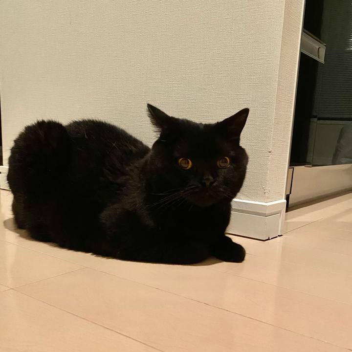 2d30757c 4708 42df 9115 b55f88f8402d 1724852368033