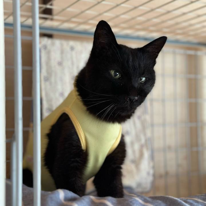 2d3080fa a644 487b b461 d7d2e68d0784 1717377512143