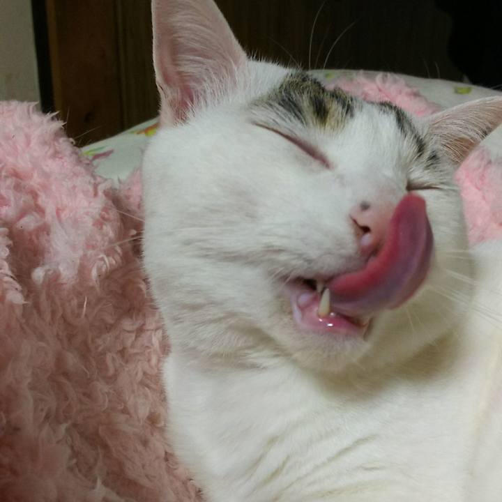 2d30b182 ffa6 4f80 90aa fd3df29acd09 1523181239713