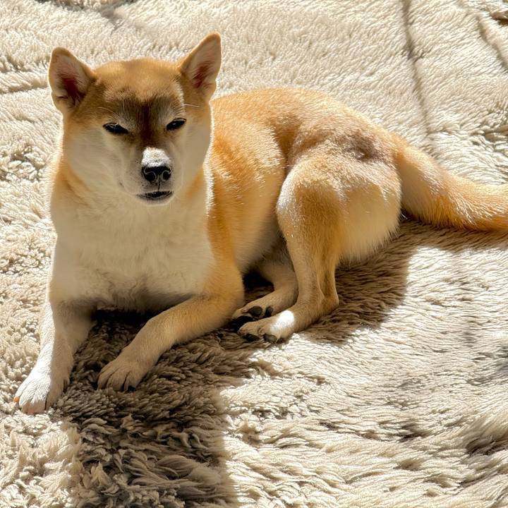 2d30b5f2 4bb3 47d9 b846 13d78ac32cce 1768529001322