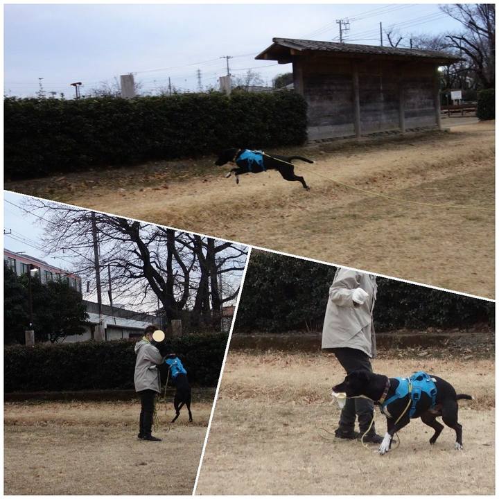 2d30c64b f31b 4d4e 892e 77460b1831d3 1610669170554