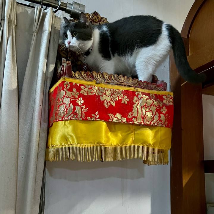 2d30ef6a d3ef 49ce 8089 e17cec721dd8 1763073931472