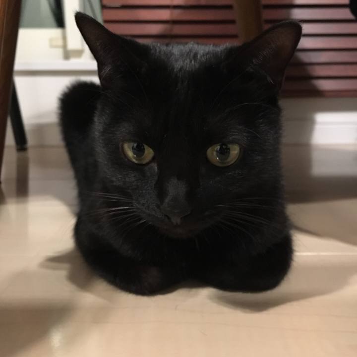 2d30f1b3 baaf 4644 b64b fa0c120c0077 1509021638821