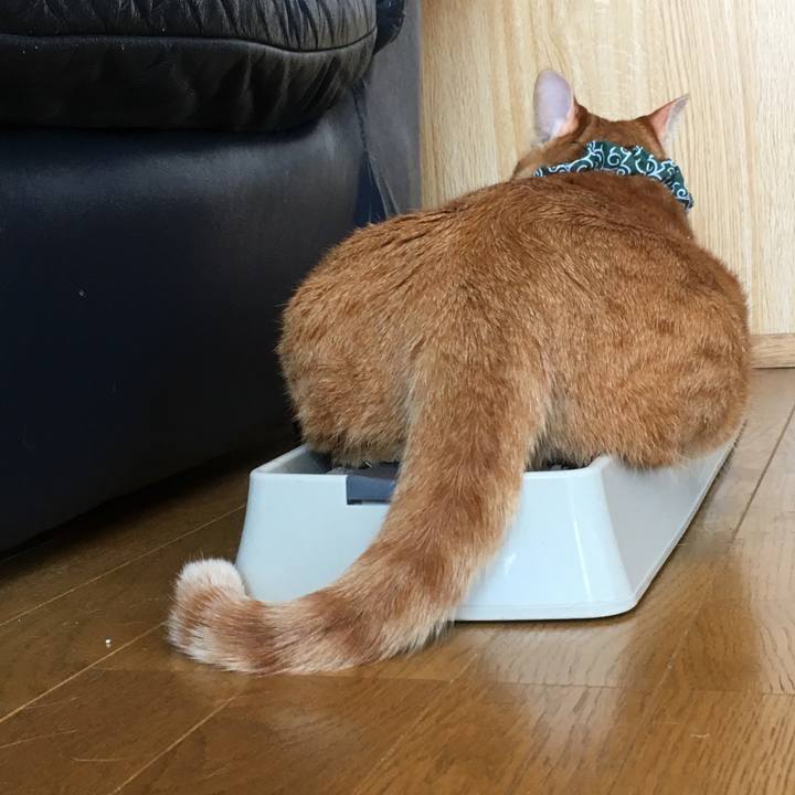 2d3102fc 9e35 49dc 84fe 69a1de10170b 1556843184569